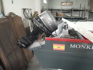 Motor fueraborda Mariner