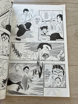 Bola de Drac Definitiva nº 17/34