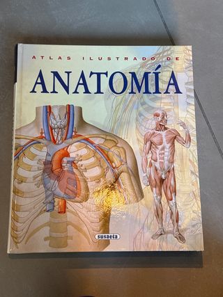 Atlas ilustrado de anatomía (Spanish Edition)