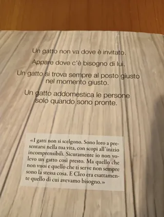 Libro Cleo. Copertina rigida.