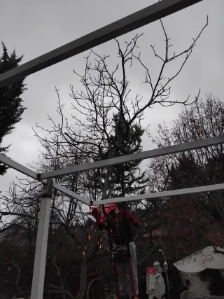 Fabricación  Pérgola con techo panel sándwich