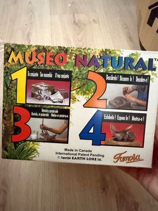 Juguete Museo Natura Excavación Dinosaurios