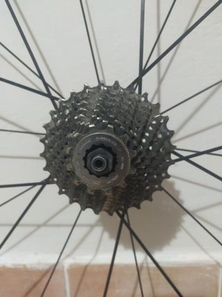 Rueda trasera 29 bicicleta carretera