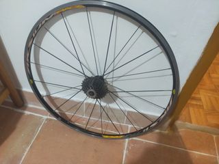 Rueda trasera 29 bicicleta carretera