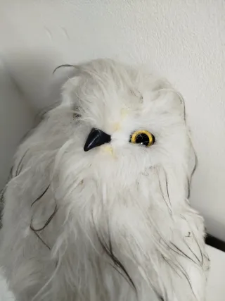 Decoración Búho Realista Blanco