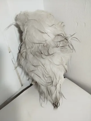 Decoración Búho Realista Blanco