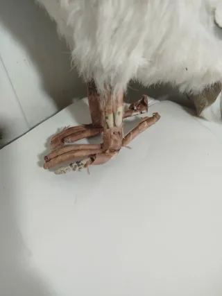 Decoración Búho Realista Blanco