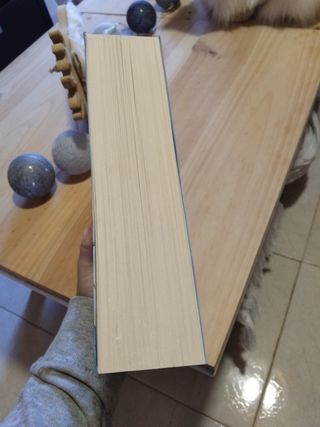 La Princesa de invierno