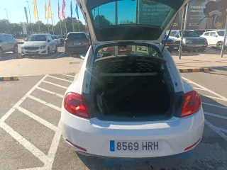 Volkswagen Beetle 2014