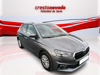 Skoda Fabia 2024 ¡¡Desde € al mes!!