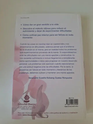 Cómo Transformar tu Vida: Un viaje gozoso (Span...