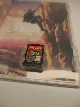 The Legend of Zelda: Breath of the Wild Switch