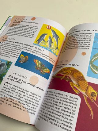 365 Preguntas Y Respuestas (Mejores Cuentos E H...