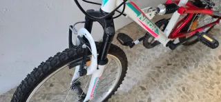 Bicicleta niño ruedas 20 pulgadas