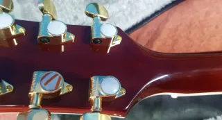 Guitarra Eléctrica Les Paul