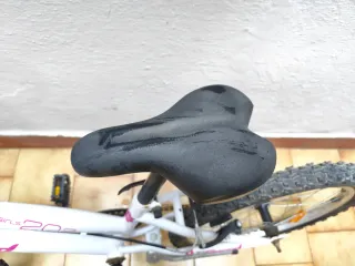 Bicicleta infantil Speed 202 niña