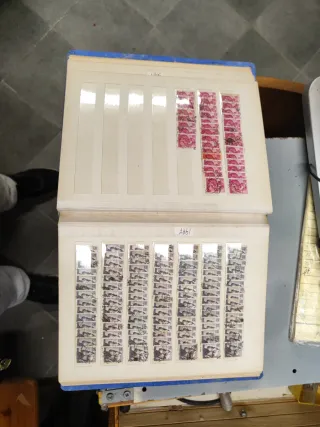 Francobolli Italia Michelangelo