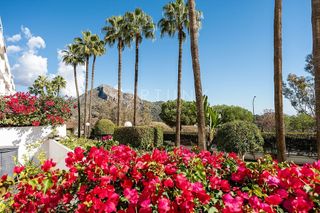 Piso en alquiler en Cerrado Calderón - El Morlaco en Málaga