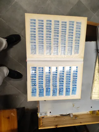 Riferimento Francobolli 6