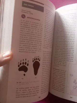 Mamíferos de España I (Spanish Edition)