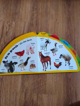 Lote de 2 libros infantiles para aprender inglés