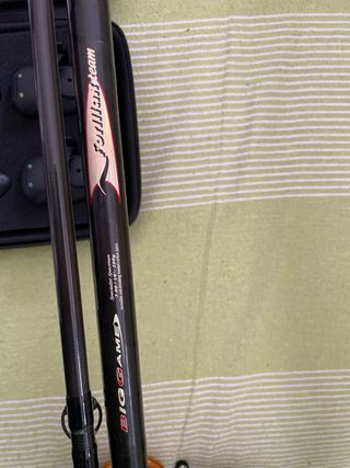 2 Canne da pesca per siluro con mulinelli