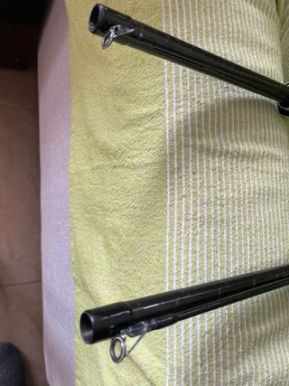 2 Canne da pesca per siluro con mulinelli