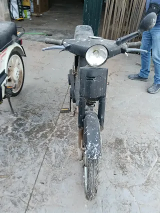 Vespino