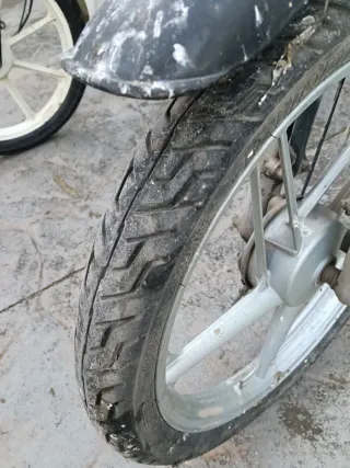 Vespino