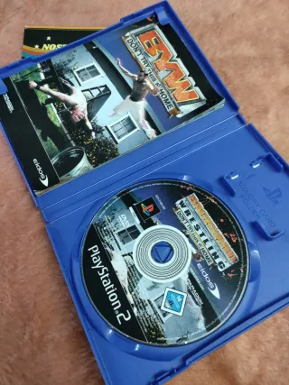 BYW Don't Try This At Home PS2 (PlayStation 2)