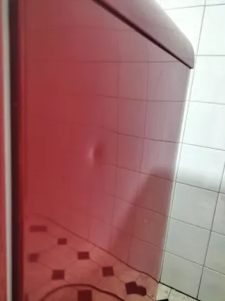 Cecotec Mini Nevera Retro Rojo