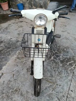 Vespino