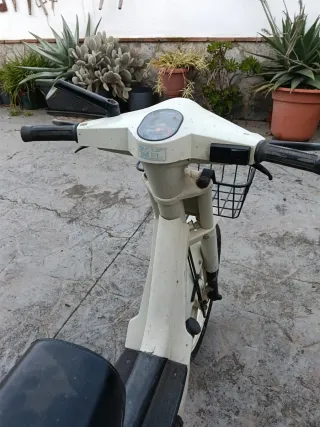 Vespino