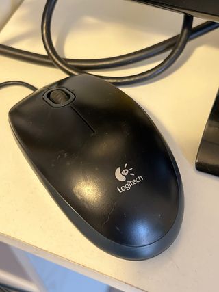 Packard Bell Monitor 21 pulgadas