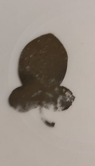 Plato Sèvres verde con frutas y oro