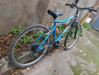 Bicicleta de Montaña Azul GLOBE TROTTER