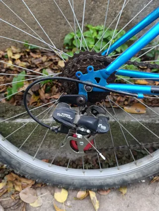 Bicicleta de Montaña Azul GLOBE TROTTER