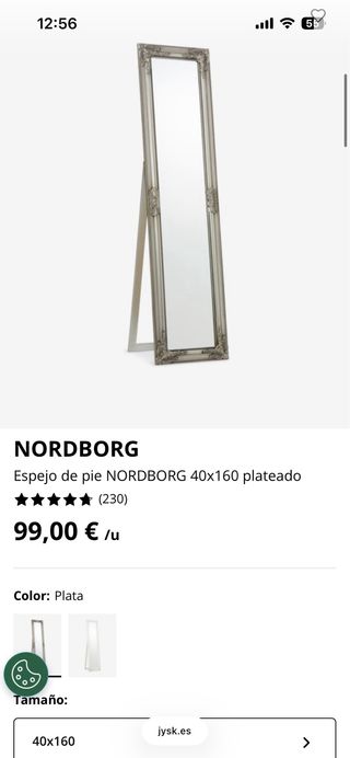 Espejo de pie plateado