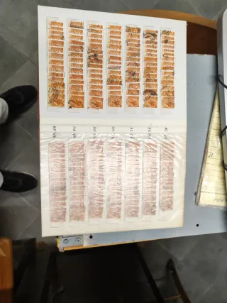 Riferimento Francobolli 9