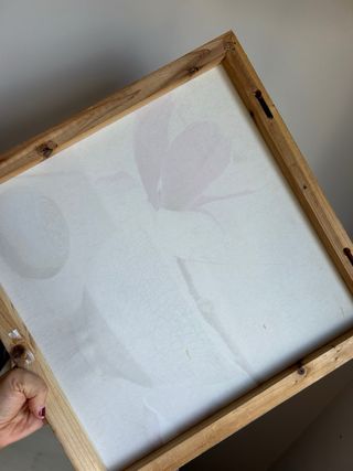 Cuadro Decorativo Flor Magnolia