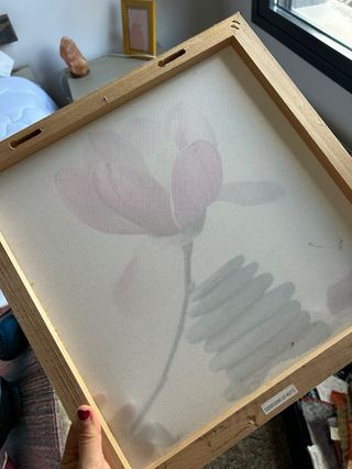 Cuadro Magnolia y Piedras Zen