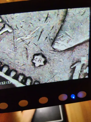 5 Pesetas 1894 Alfonso XIII