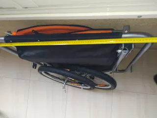 Carro de paseo para niños u perros con maletero