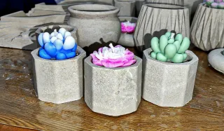 Conjunto 3 velas Suculentas Decorativas