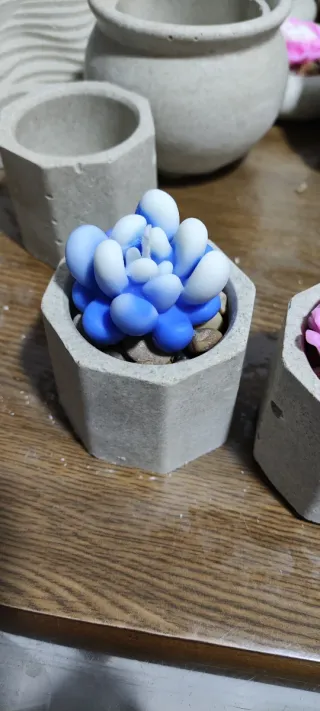 Conjunto 3 velas Suculentas Decorativas