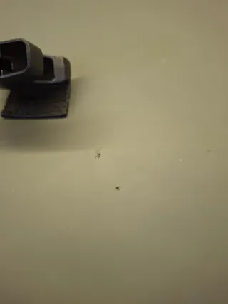 Mochila Black Hawk enrollable verde