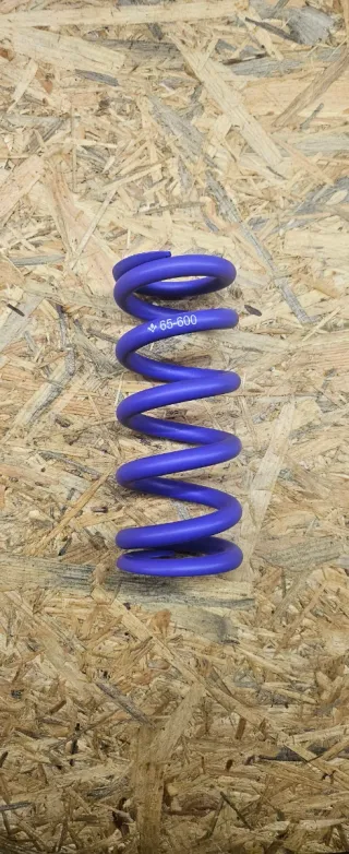 Muelle Formula 65x600