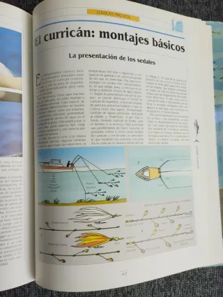 Libro que explica la Pesca en agua salada