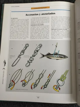 Libro que explica la Pesca en agua salada