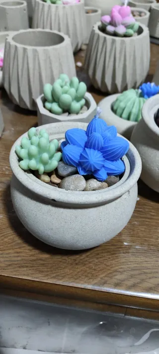 Vela Suculenta Decorativa